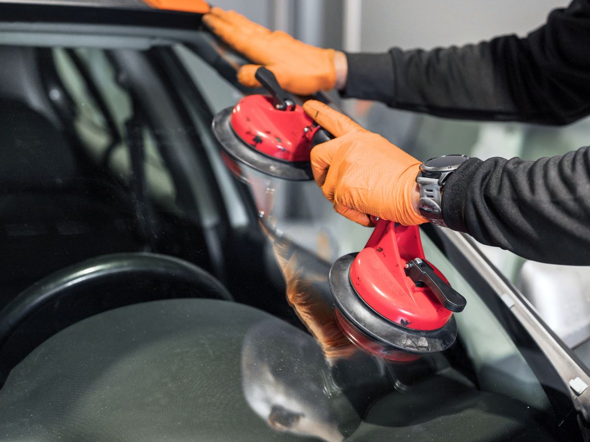 Technician in gloves positioning a replacement windscreen with suction lifters